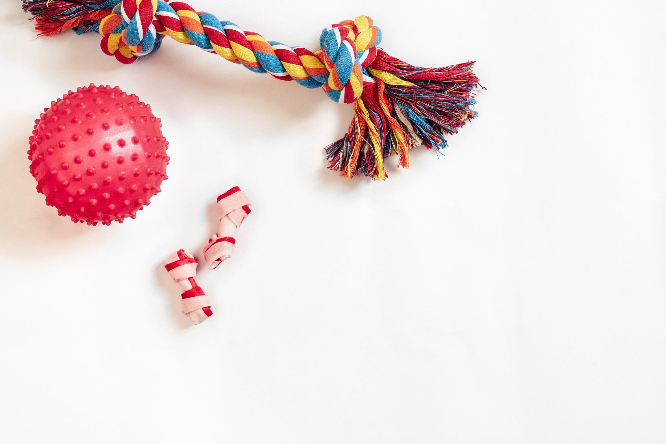 Dog Toys Set: Colorful Cotton Dog Toy and Pink Ball on a White Background